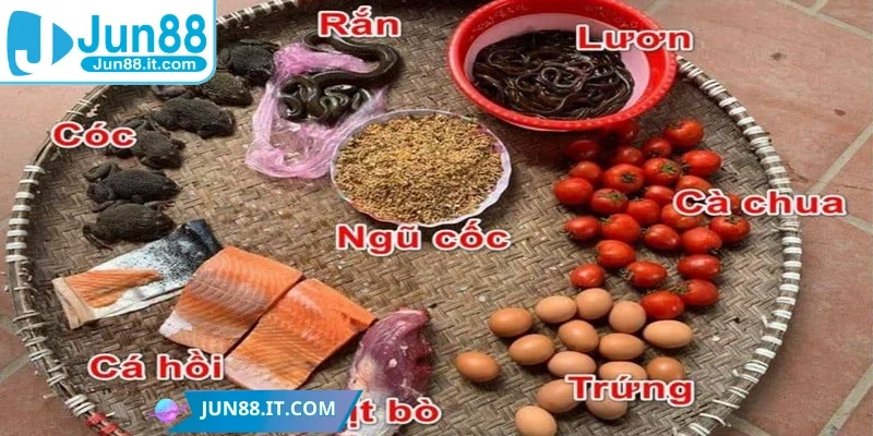 Hướng dẫn các cách nạp carbo cho gà đá chuẩn