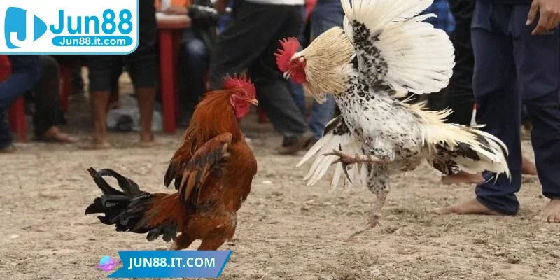 Xác định thắng thua phản ánh rõ ràng tính công bằng